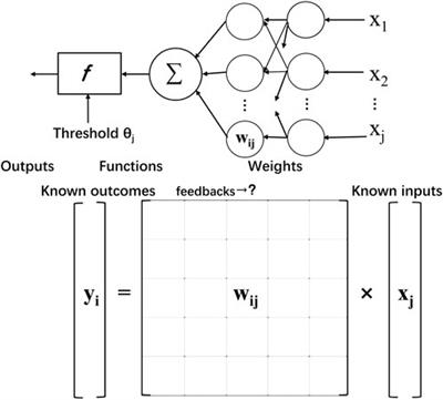 Soft integration of a neural cells network and bionic interfaces